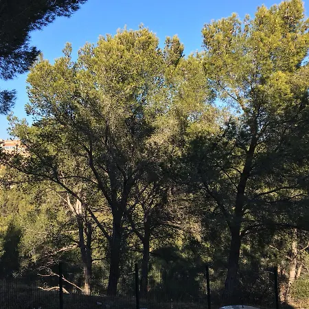 Lägenhet Les Cigales Cassis